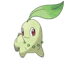Chikorita