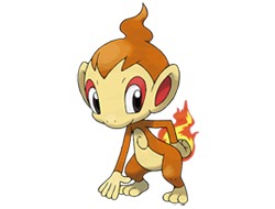 Chimchar