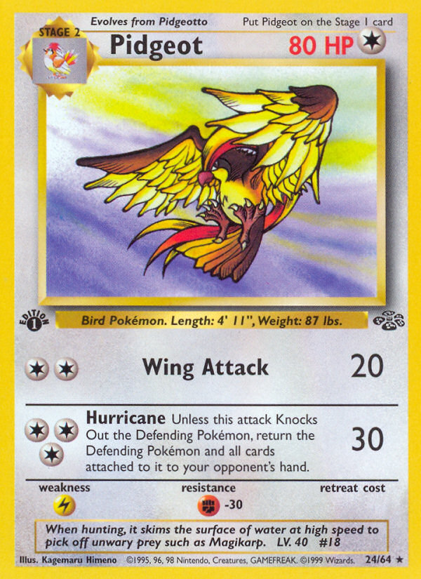 Pidgeot (Jungle 24)